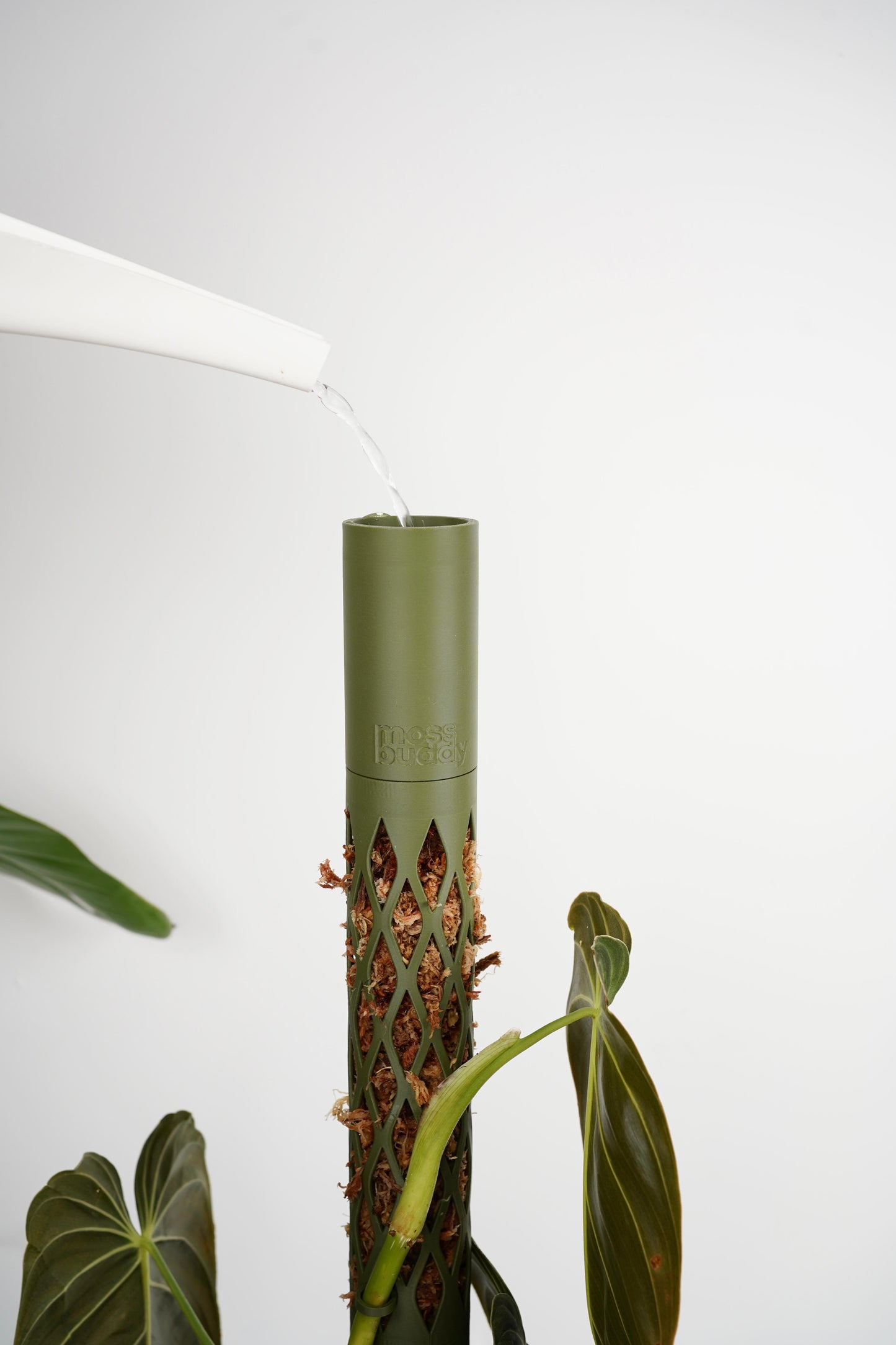 Moss Pole