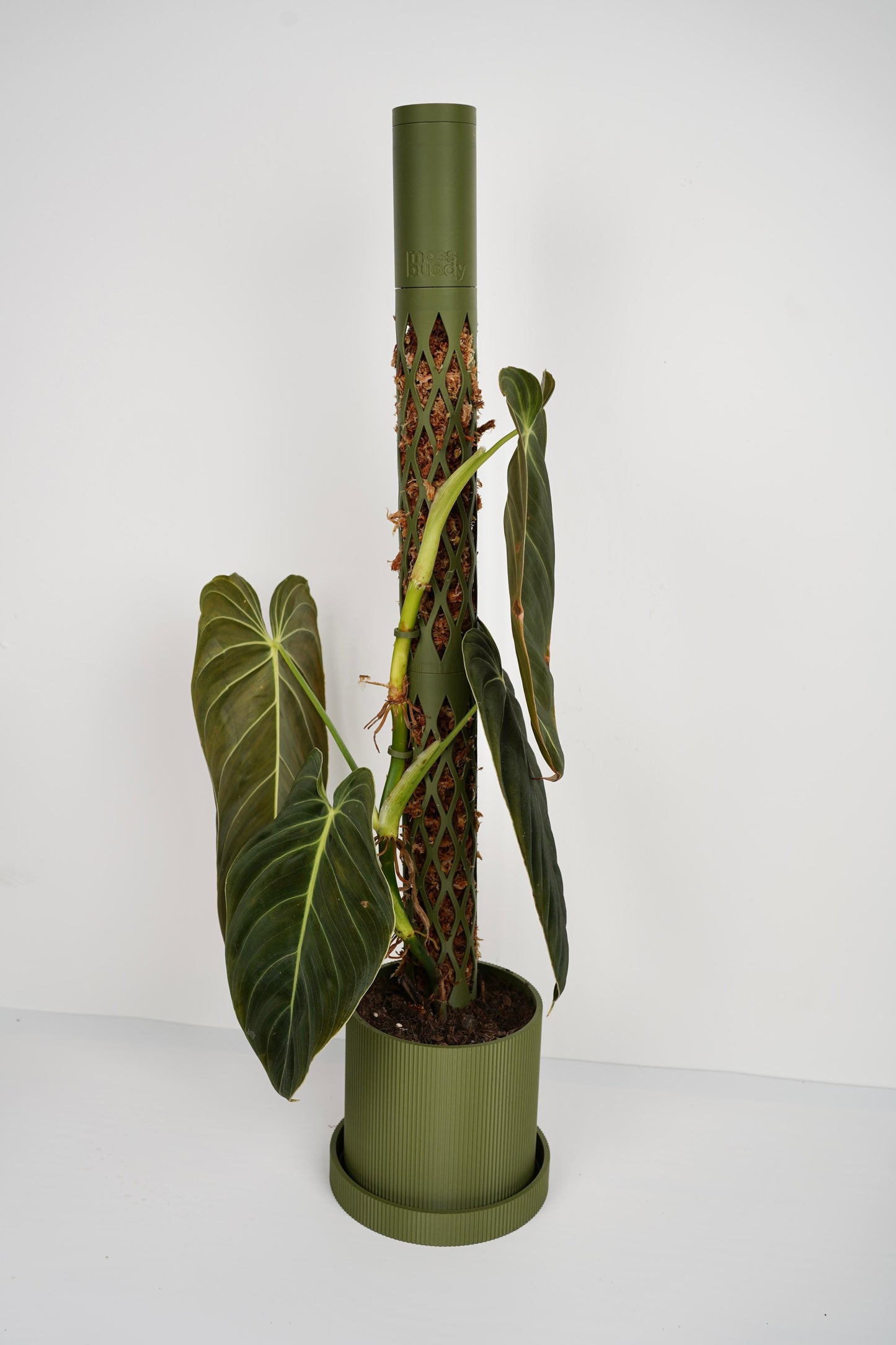 Moss Pole