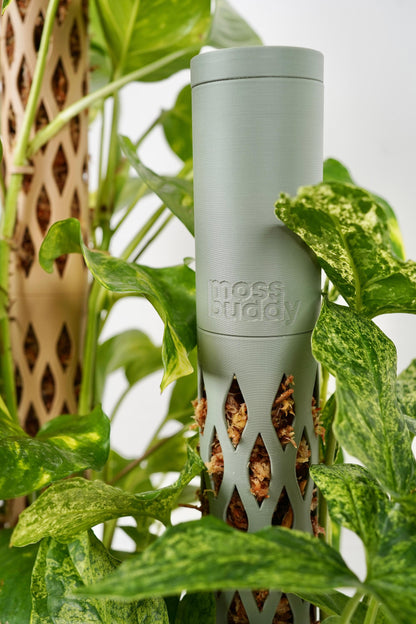 Moss Pole