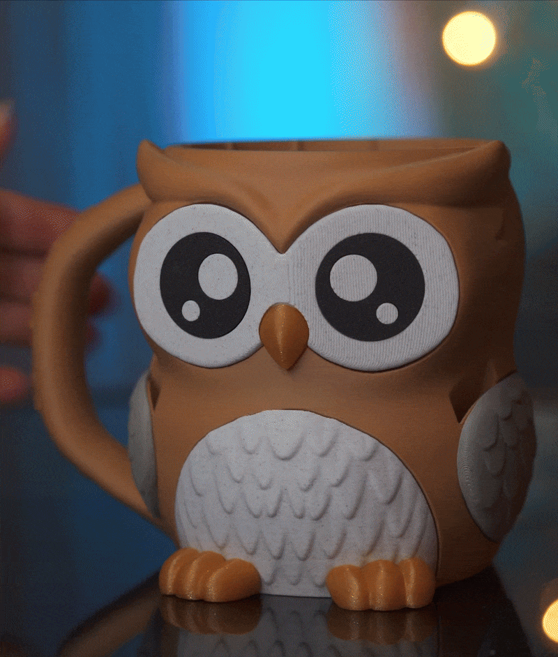 Owlfonso die Eule